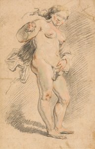 Nude woman standing